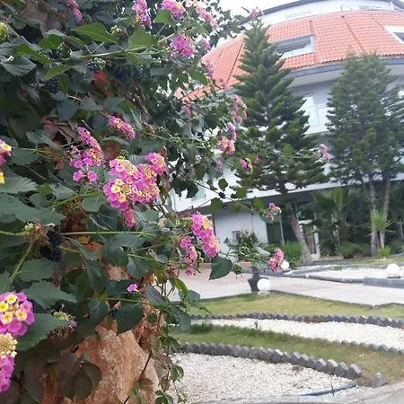 Hotel Club Jovia Kemer Antália