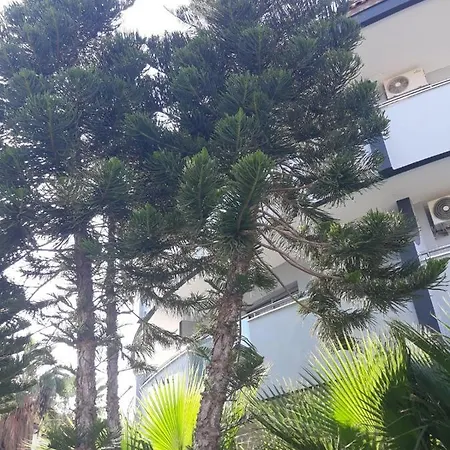 Club Jovia Kemer אנטליה